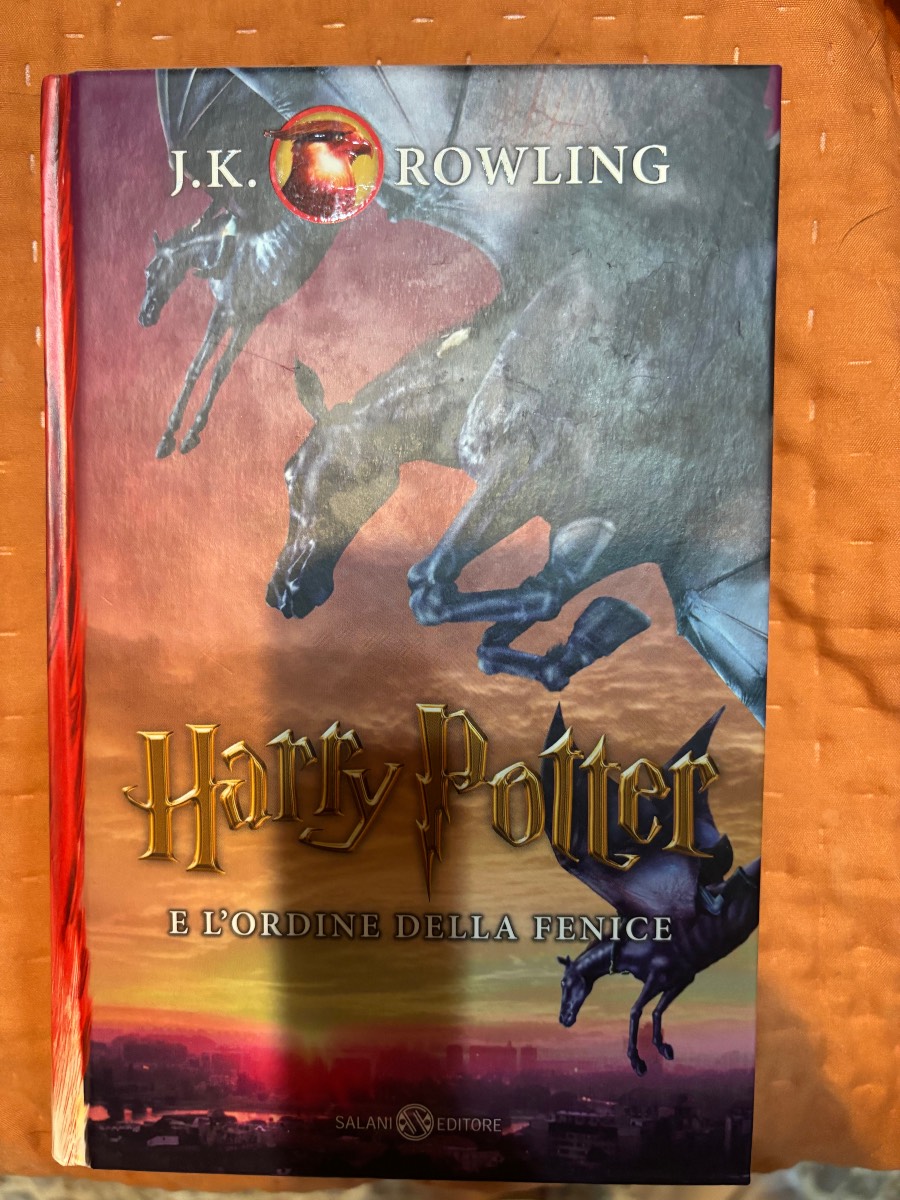 Harry Potter e l’ordine della fenice · foto 1 di 3