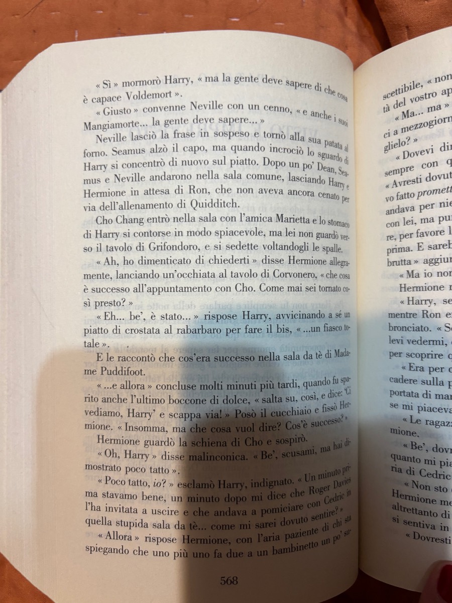 Harry Potter e l’ordine della fenice · foto 3 di 3